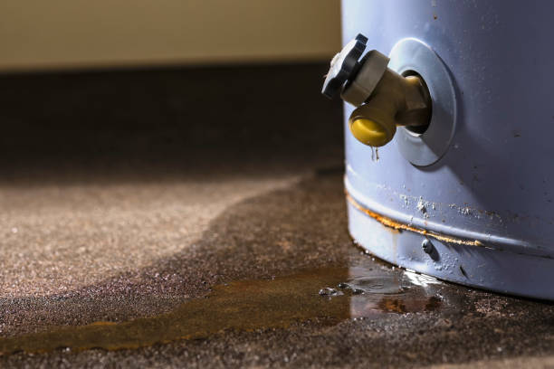 Best Water damage restoration process  in Poquoson, VA
