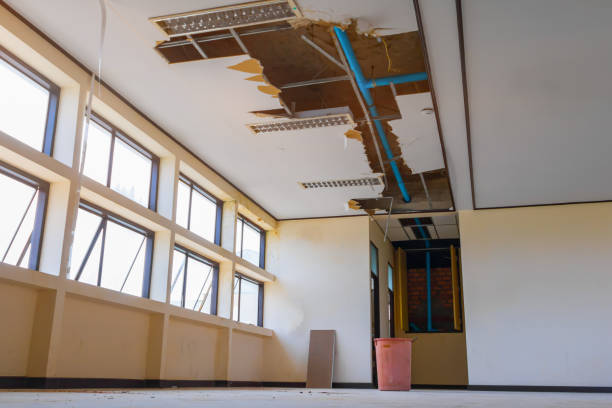 Best Flood restoration services  in Poquoson, VA