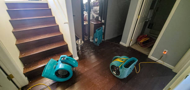 Best 24/7 water damage repair  in Poquoson, VA
