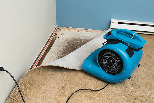 Best Sewage cleanup and water damage restoration  in Poquoson, VA